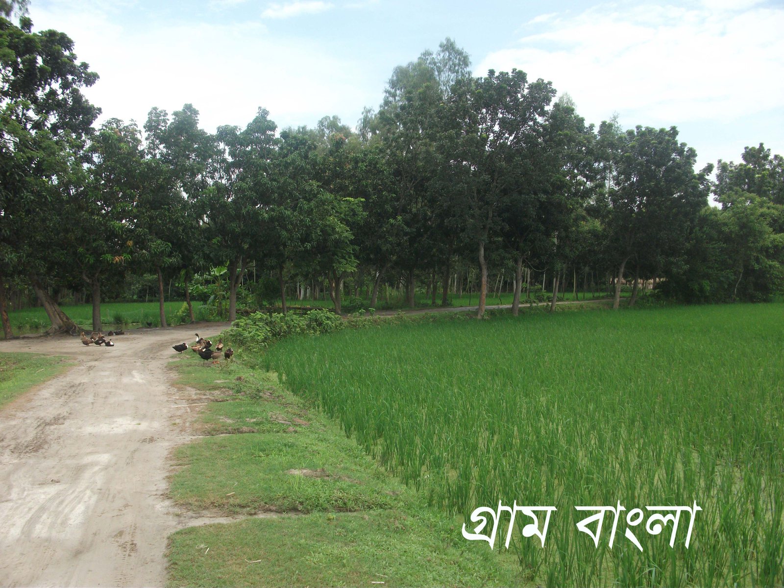 গ্রাম বাংলা